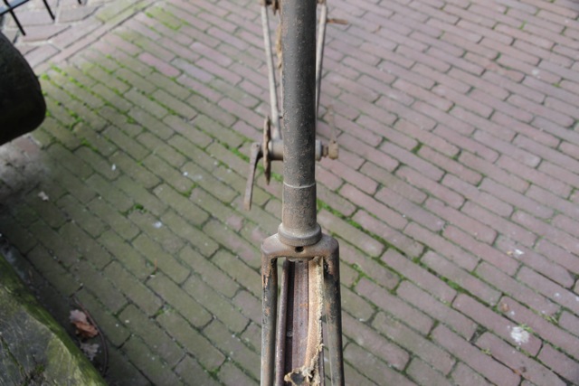 IMG_1354.jpeg