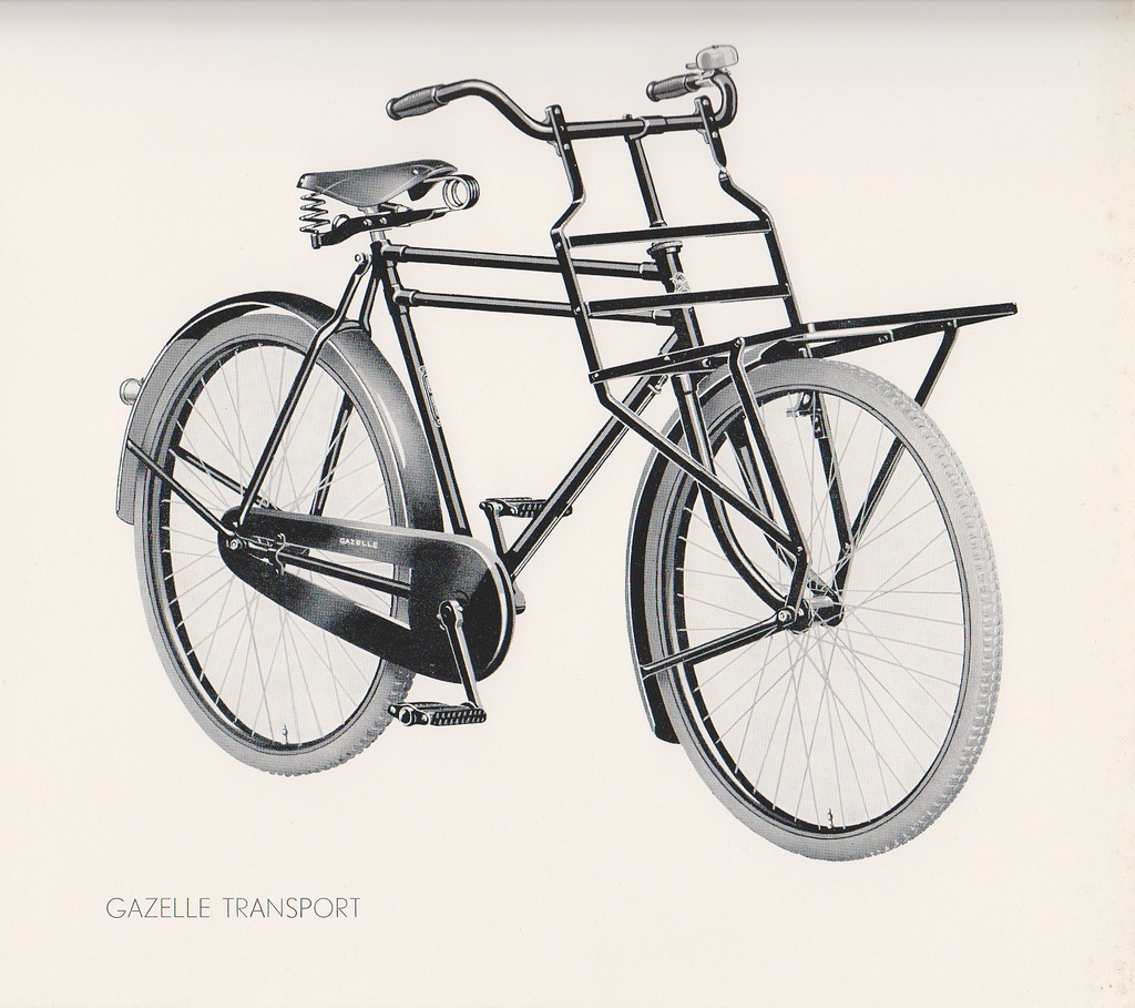 gazelle TR.jpg
