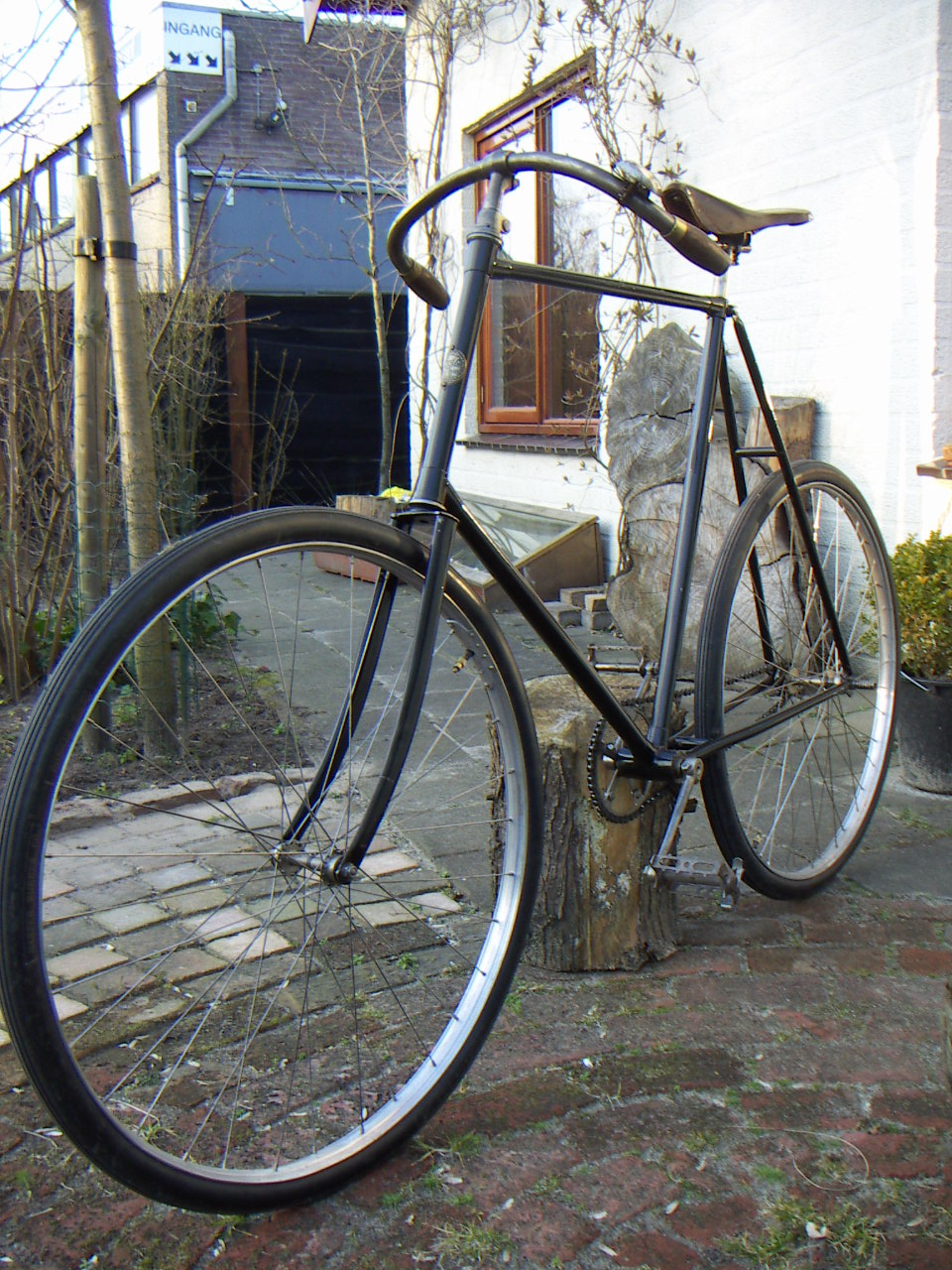 Eagle 1896