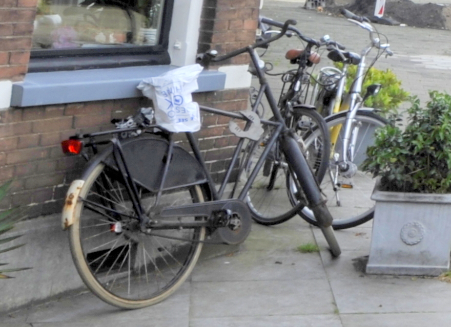 raleigh kruisframe