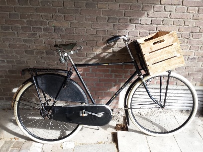 gazelle 1.jpg