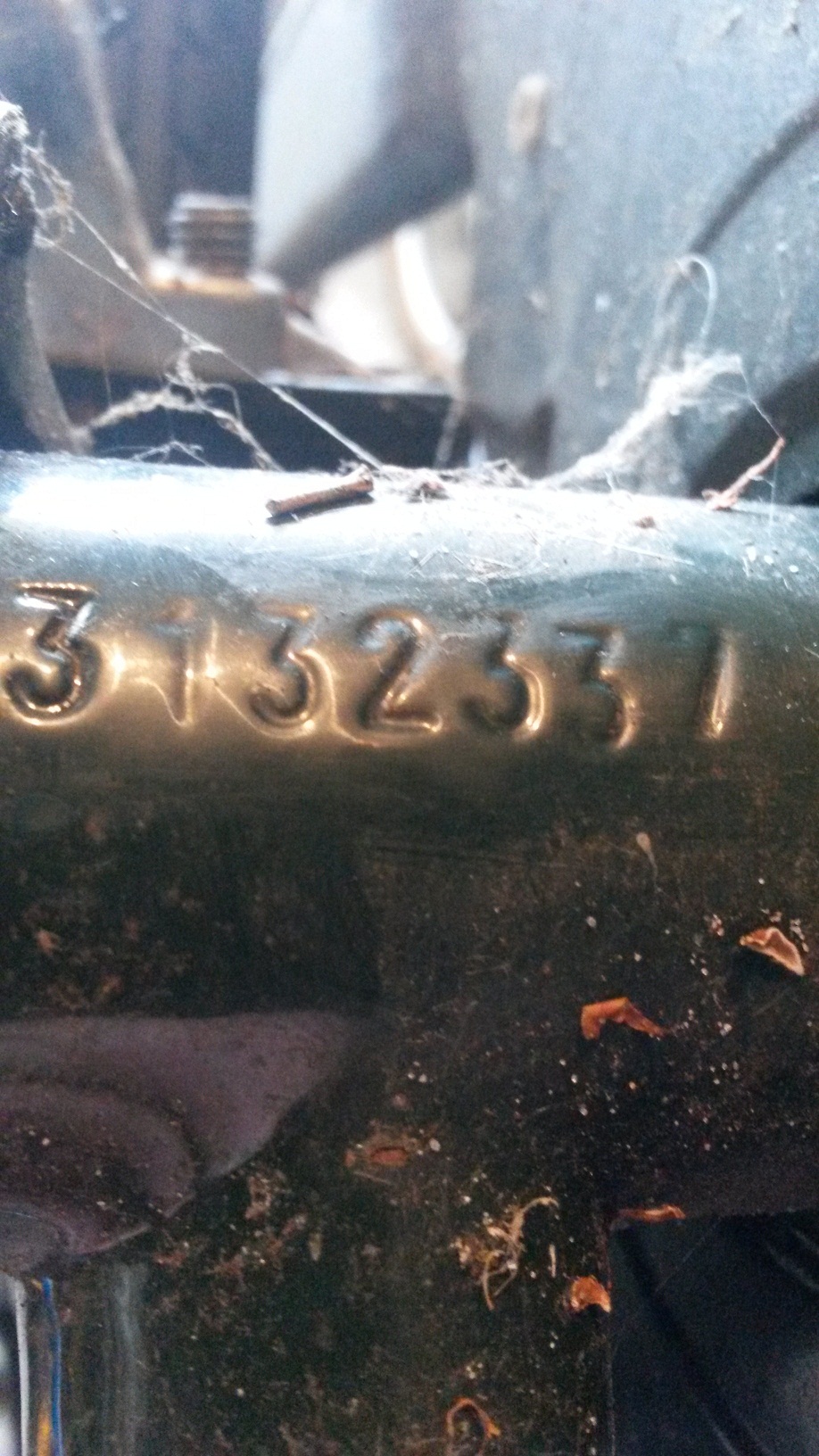 20150417_164509.jpg