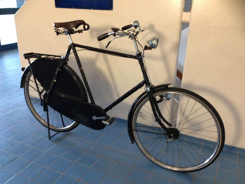 Gazelle.jpg